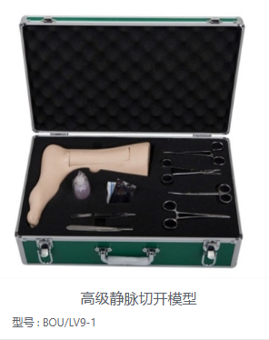 高级静脉切开模型