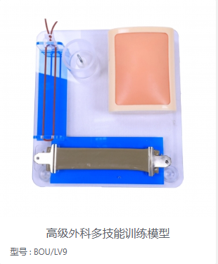 高级外科多技能训练模型