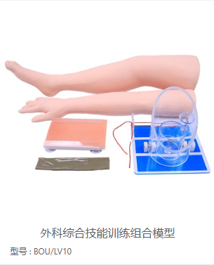 外科综合技能训练组合模型