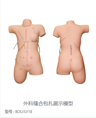 外科缝合包扎展示模型