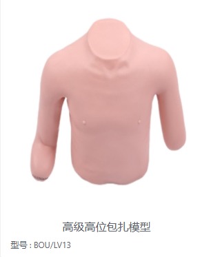 高级高位包扎模型