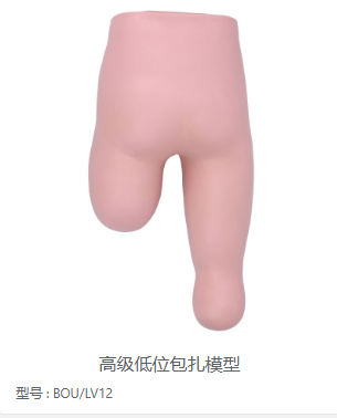 高级低位包扎模型