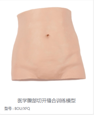 医学腹部切开缝合训练模型