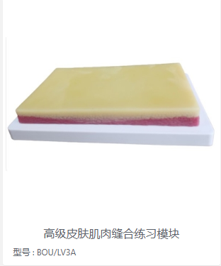 高级皮肤肌肉缝合练习模块