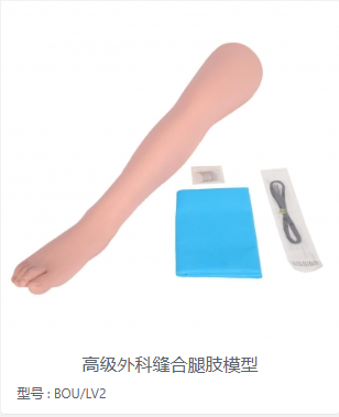 高级外科缝合腿肢模型