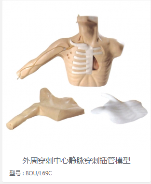 外周穿刺中心静脉穿刺插管模型