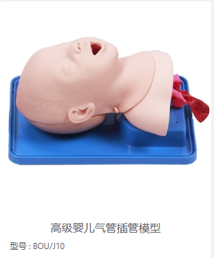 高级婴儿气管插管模型