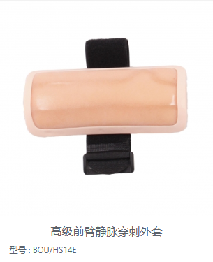 穿戴模块皮肤血管模型