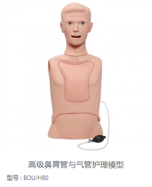 胃管与气管护理模型
