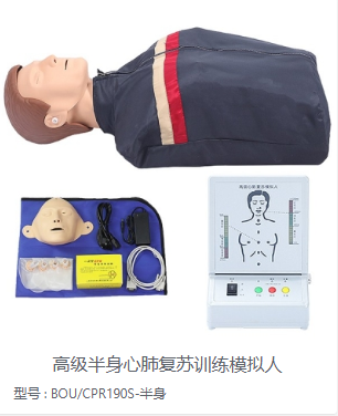 半身心肺复苏模拟人