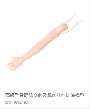 手臂静脉穿刺模型