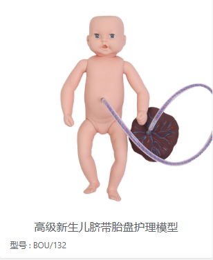 新生儿脐带胎盘护理模型