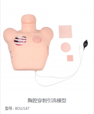 胸腔穿刺引流模型