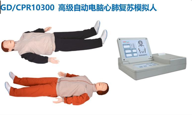 高级自动电脑心肺复苏模拟人