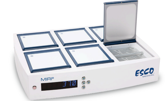 二氧化碳培养箱CO2 Incubator（生殖）